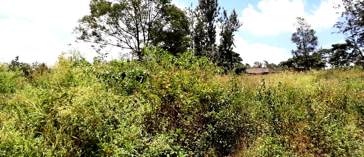 1 Acre Garden Plot in Kangemi
