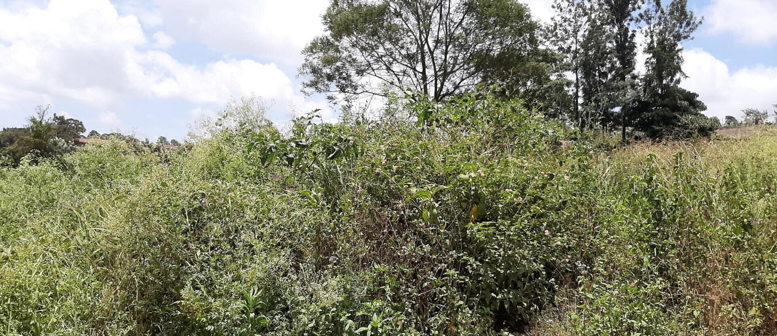1 Acre Garden Plot in Kangemi