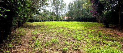 50x100 Plot with Garden at KSh 3.5M