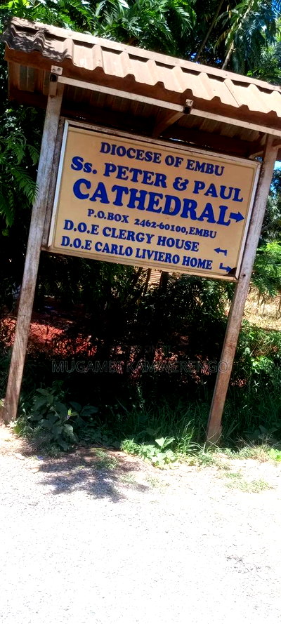 Mugoya (7) 50*100 - Image 1