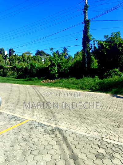 Prime Half-Acre Land for Sale in Nyali - Image 3