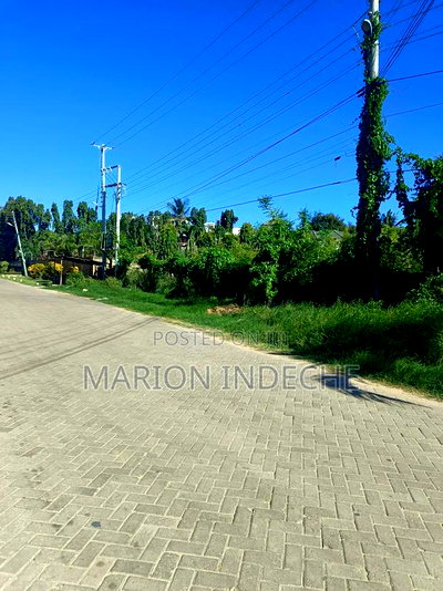 Prime Half-Acre Land for Sale in Nyali - Image 2