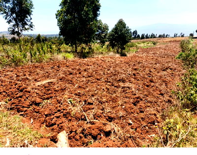 50x100 Plot Under 1.5M in Ndeiya