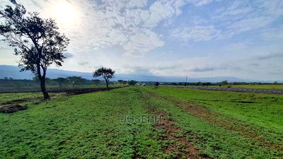 Mai Mahiu 3acres Fronting Naivasha -Mai Mahiu Road - Image 10