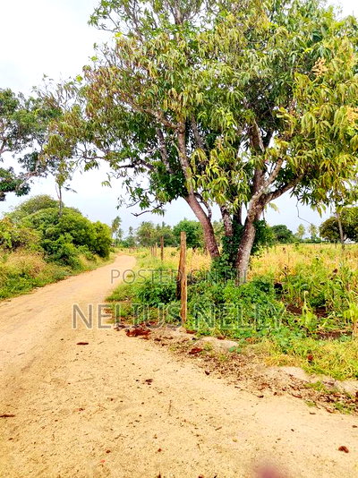 Malindi Plots for Sale - Image 5