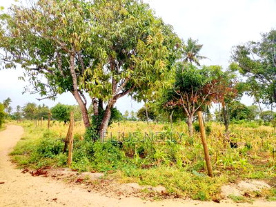 Malindi Plots for Sale - Image 4