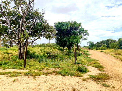 Malindi Plots for Sale - Image 3