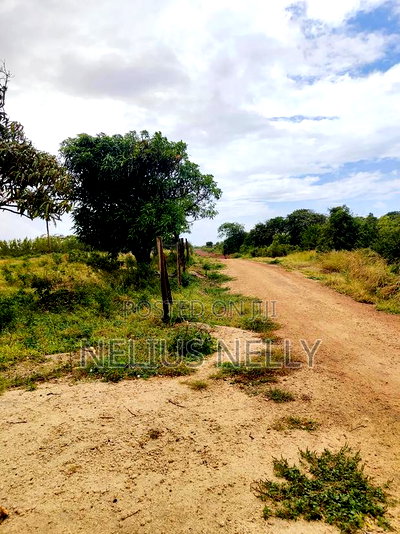Malindi Plots for Sale - Image 2