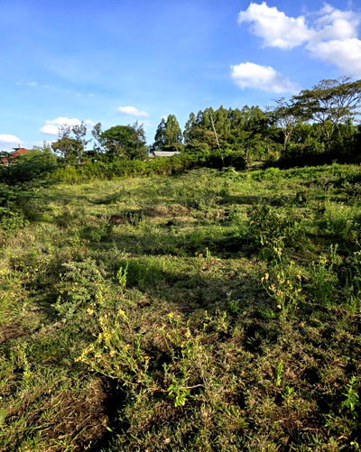 Quarter Acre Garden Plot at KSh 5M