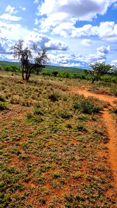 Prime 5 Acres in Kajiado at 3.5m(200metres From Tarmac - Image 4