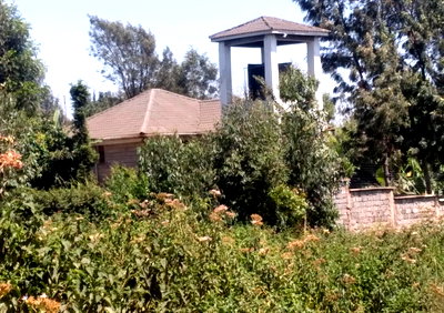 4-Acre Commercial Property with Garden