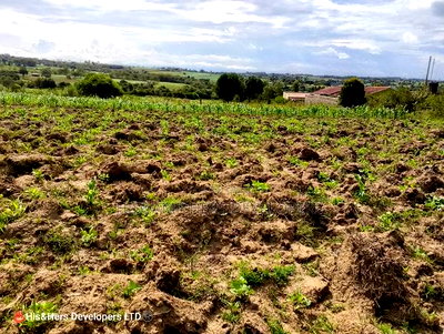 120 Acres in Orikinyei Ready Title Deed at 550,000 Per Acre - Image 1