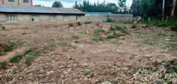 1/4 Plot With Some Rentals for Sale in Annex Eldoret