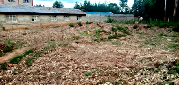 1/4 Plot With Some Rentals for Sale in Annex Eldoret