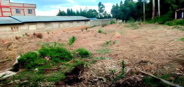 1/4 Plot With Some Rentals for Sale in Annex Eldoret