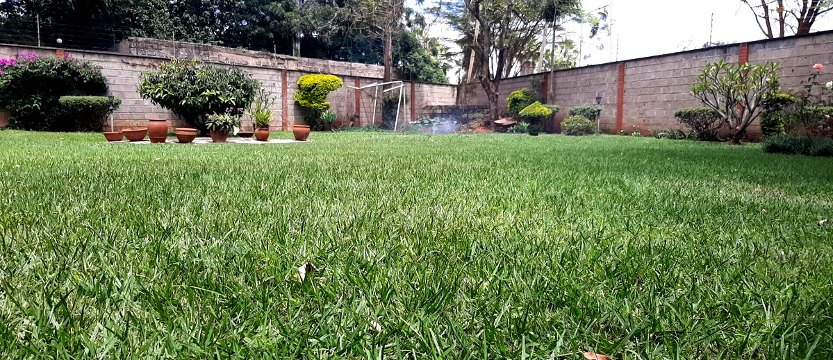 Half Acre Colonial Haven at KSh 450K
