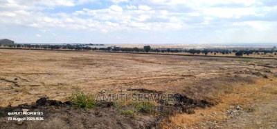 Daystar: 10 Acres for Sale - Image 3
