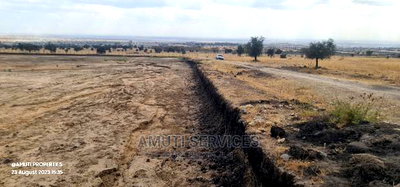 Daystar: 10 Acres for Sale - Image 5