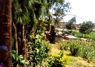 Quarter Acre Plot in Kawangware 46
