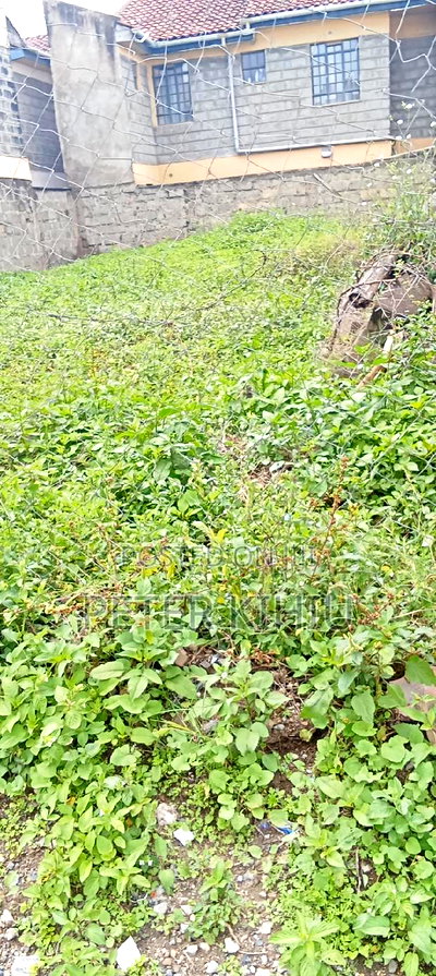 Muimara 30ft by 66ft Plot for Sale - Image 13