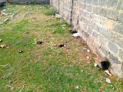 Muimara 30ft by 66ft Plot for Sale - Image 2