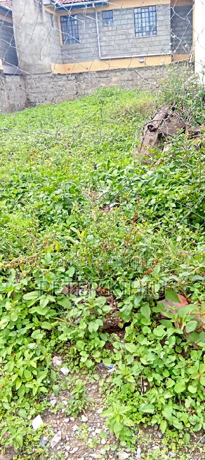 Muimara 30ft by 66ft Plot for Sale - Image 9