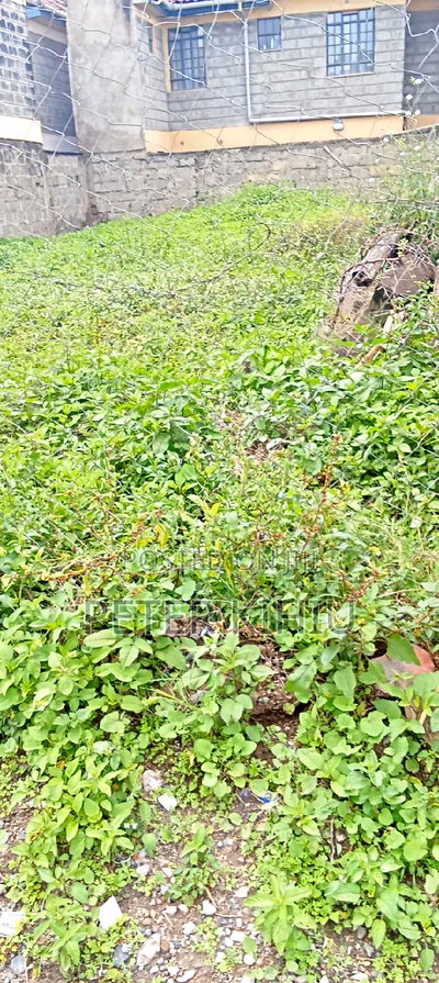 Muimara 30ft by 66ft Plot for Sale - Image 12