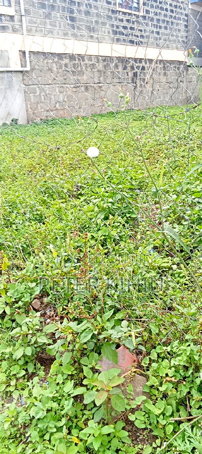 Muimara 30ft by 66ft Plot for Sale - Image 3