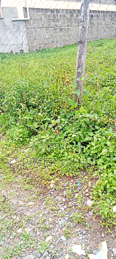 Muimara 30ft by 66ft Plot for Sale - Image 8