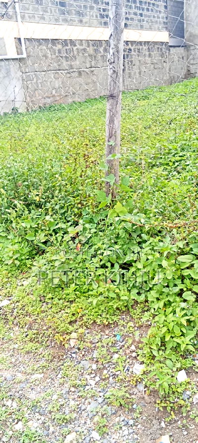 Muimara 30ft by 66ft Plot for Sale - Image 10