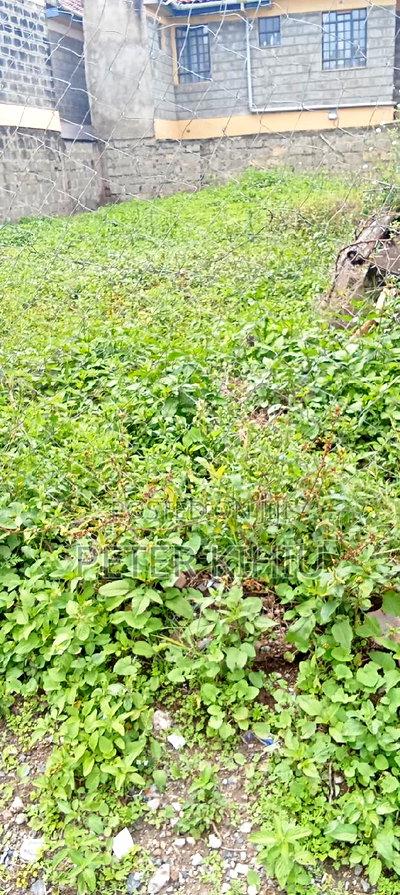 Muimara 30ft by 66ft Plot for Sale - Image 14