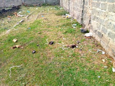 Muimara 30ft by 66ft Plot for Sale - Image 4