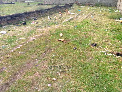 Muimara 30ft by 66ft Plot for Sale - Image 1