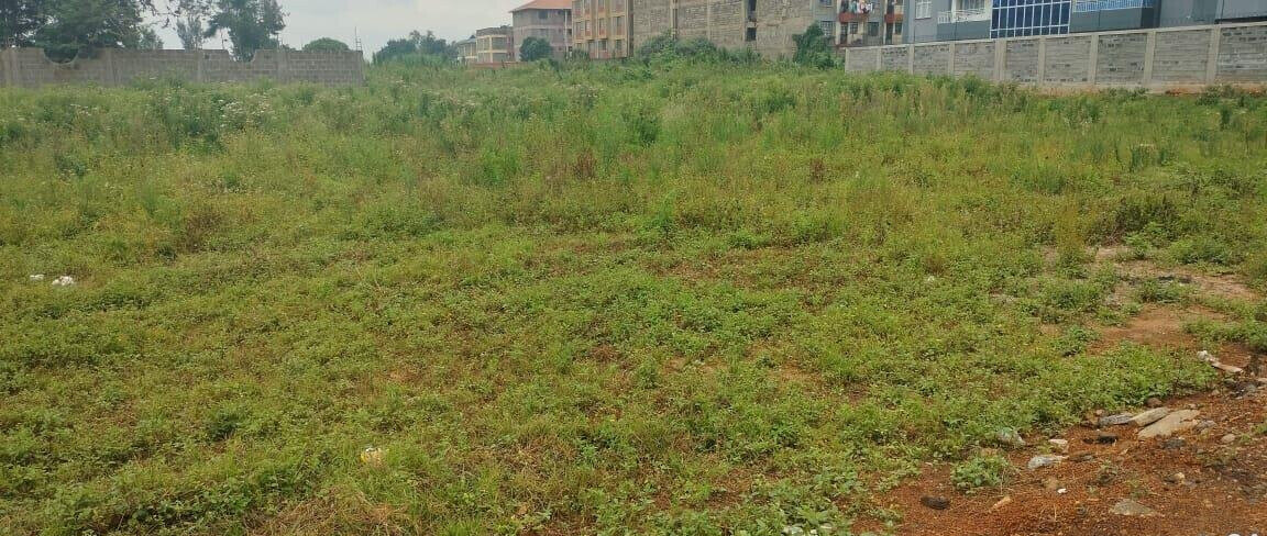 KSh 28M Ruaka Plot