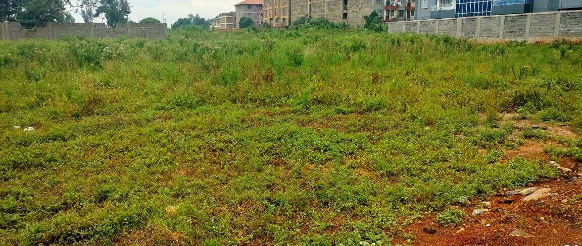KSh 28M Ruaka Plot