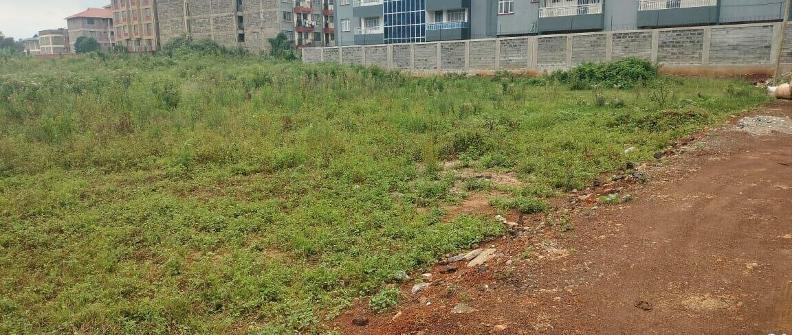 KSh 28M Ruaka Plot