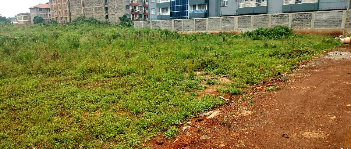 KSh 28M Ruaka Plot