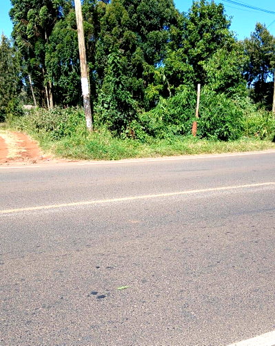 Quarter Acre Garden Plot with Parking - Ndumberi