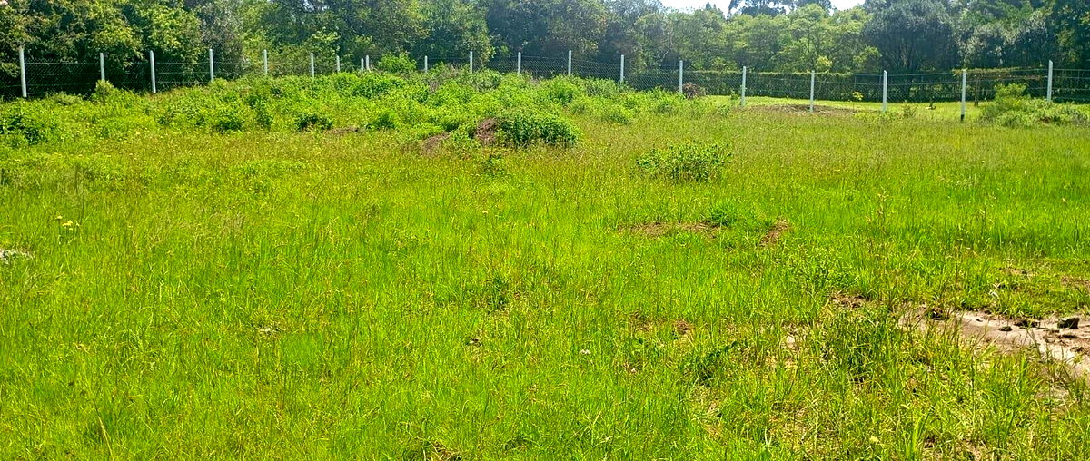 Half Acre Karen Plot at KSh 37M