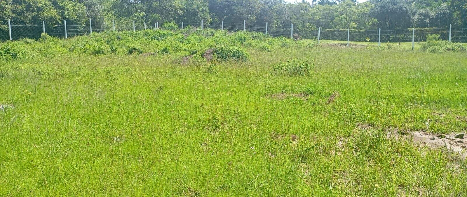 Half Acre Karen Plot at KSh 37M