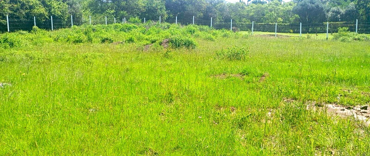 Half Acre Karen Plot at KSh 37M