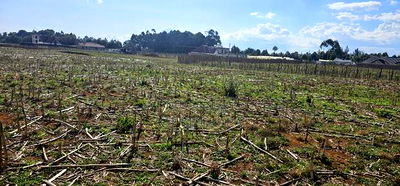 Prime Plots for Sale Eldoret Opposite New MTRH in Kiplombe - Image 1