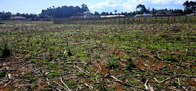 Prime Plots for Sale Eldoret Opposite New MTRH in Kiplombe - Image 8