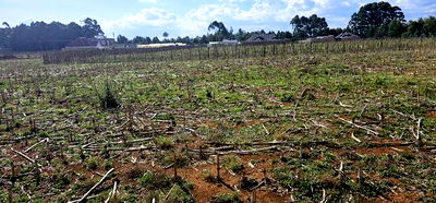 Prime Plots for Sale Eldoret Opposite New MTRH in Kiplombe - Image 5