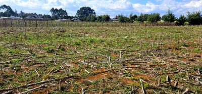 Prime Plots for Sale Eldoret Opposite New MTRH in Kiplombe - Image 7