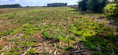 Prime Plots for Sale Eldoret Opposite New MTRH in Kiplombe - Image 11