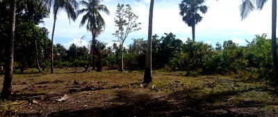 6-Acre Plot in Ramisi, Kwale for KSh 1.8M