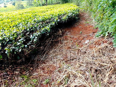 One Acre at Kagwe, Lower Lari - Image 5