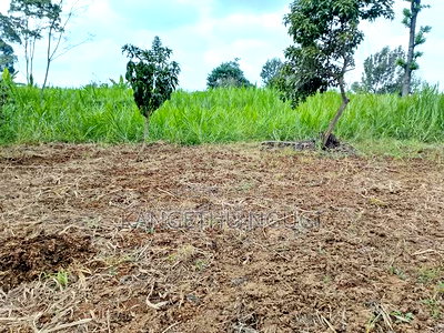 One Acre at Kagwe, Lower Lari - Image 3