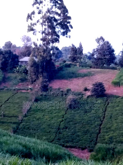 One Acre at Kagwe, Lower Lari - Image 2